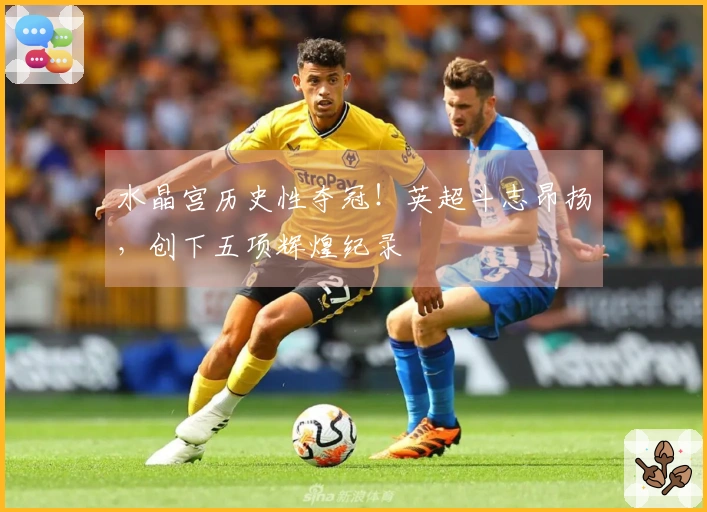 水晶宫历史性夺冠！英超斗志昂扬，创下五项辉煌纪录